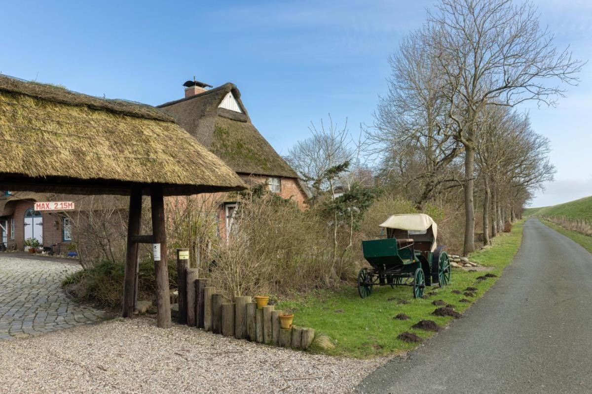 Deichmuschel Woehrden Exterior foto
